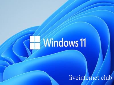 WhyNotWin11 2.3.2.0