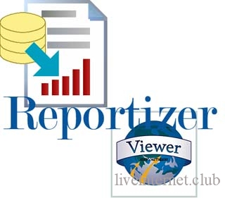 Reportizer 6.4.1.45 Portable
