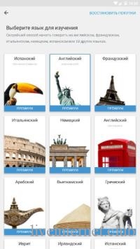 Rosetta Stone -   8.17.1 (Android)