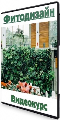 ���� �������� - ���������� (2026) ���������