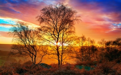 Best Wallpapers Mix Collection 78