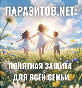 �������� �����, ����� ��������� - ����������� ���������.Net (2026/PDF)