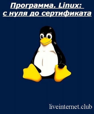 [Stepik] ���������. Linux: � ���� �� ����������� (2026) ���������
