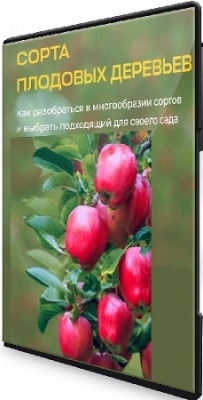 [����� ��������] ����� �������� �������� (2026) �������
