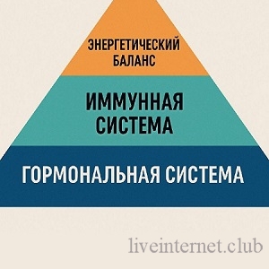 Ирина Зезулева - Авторская схема восстановления «Re Vita» (2026/PDF/OGG) Ирина Зезулева - Авторская схема восстановления «Re Vita» (2026/PDF/OGG)